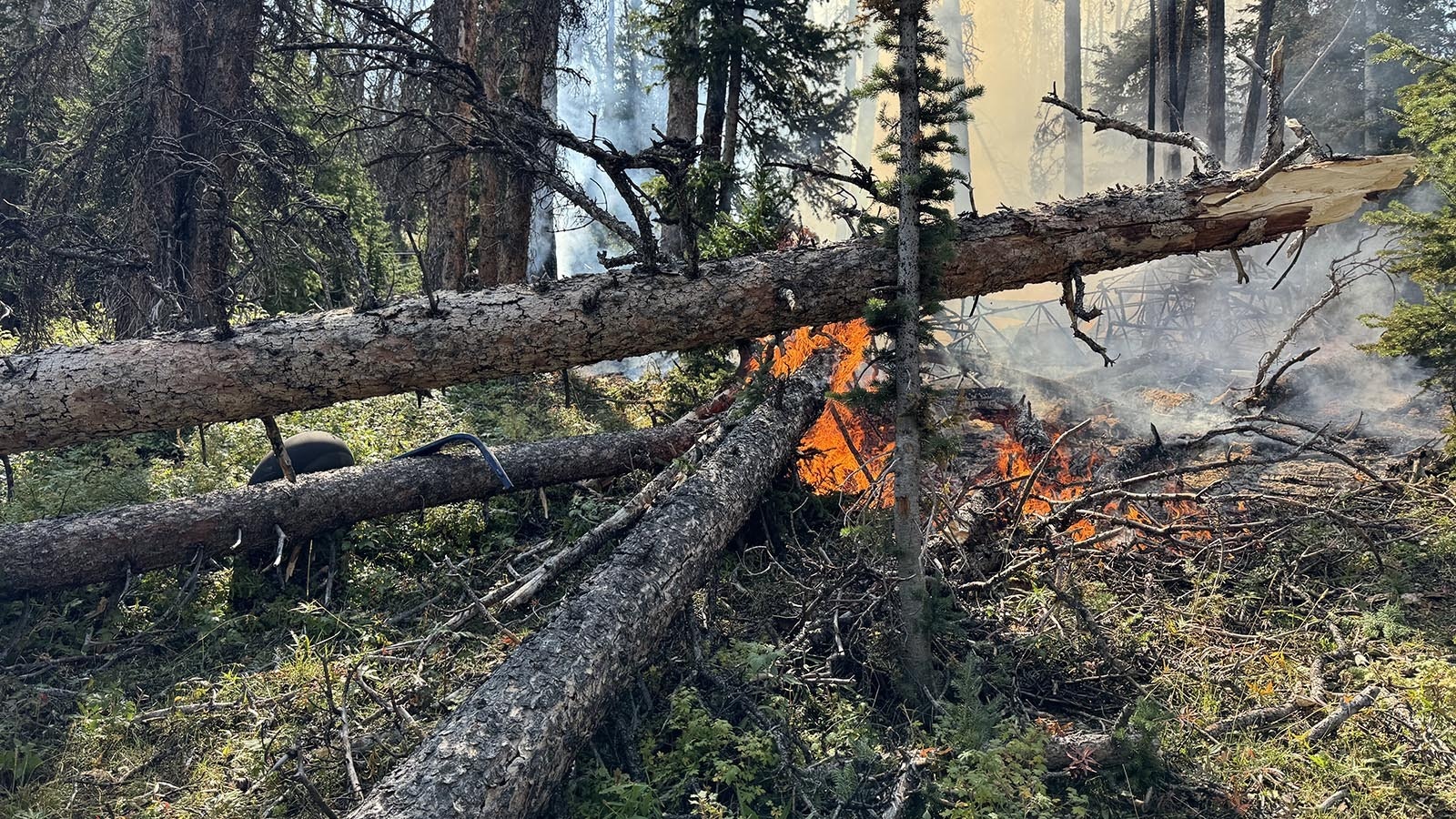 A pair of hunters who happened to be nearby when a plane crashed in the forest near Meeteetse, Wyoming, on Sunday rushed to the scene and saved the pilot. A female passenger was killed in the crash. The burned remains of the plane can be seen through the brush.