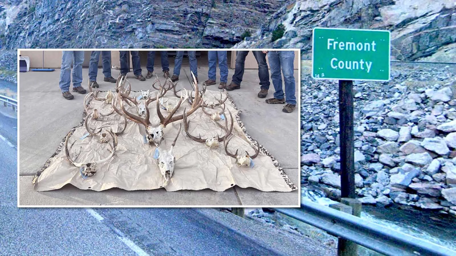 To crack a multi-year poaching case against Dakota Jordan of Lander, Game and Fish wardens used DNA taken from seized big game animal heads and carcasses left to rot.