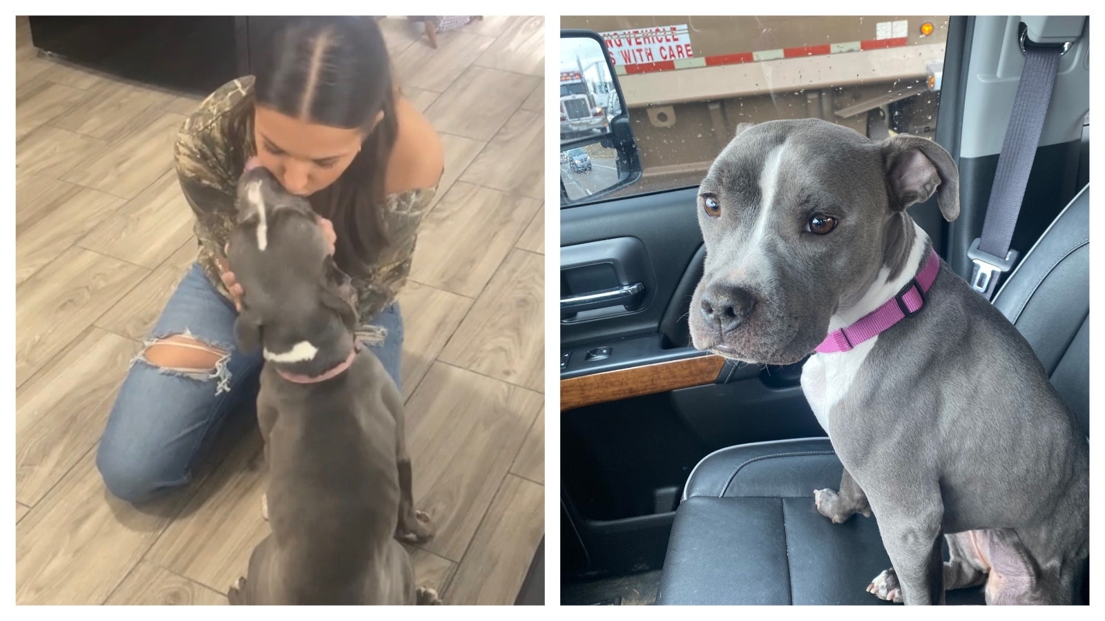 Hallie Blake with her pit bull pup Lily, who had to be put down after being poisoned with antifreeze.