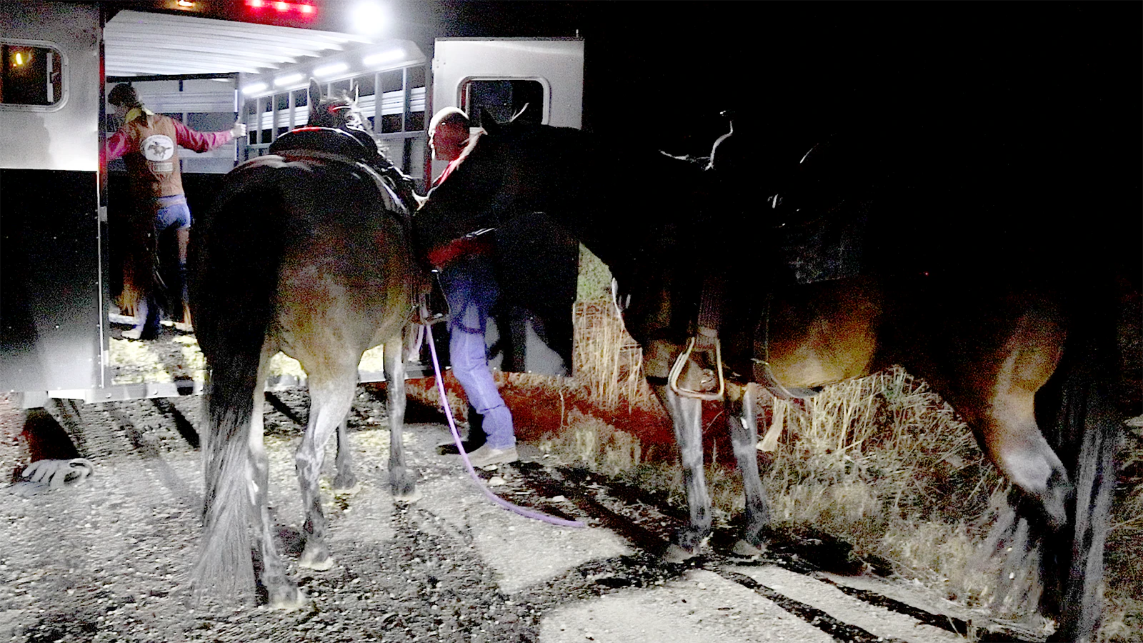 Stephanie and Scott Montgomery trailer their horses to take them from the Lingle area to a Fort Laramie location for the next ride.