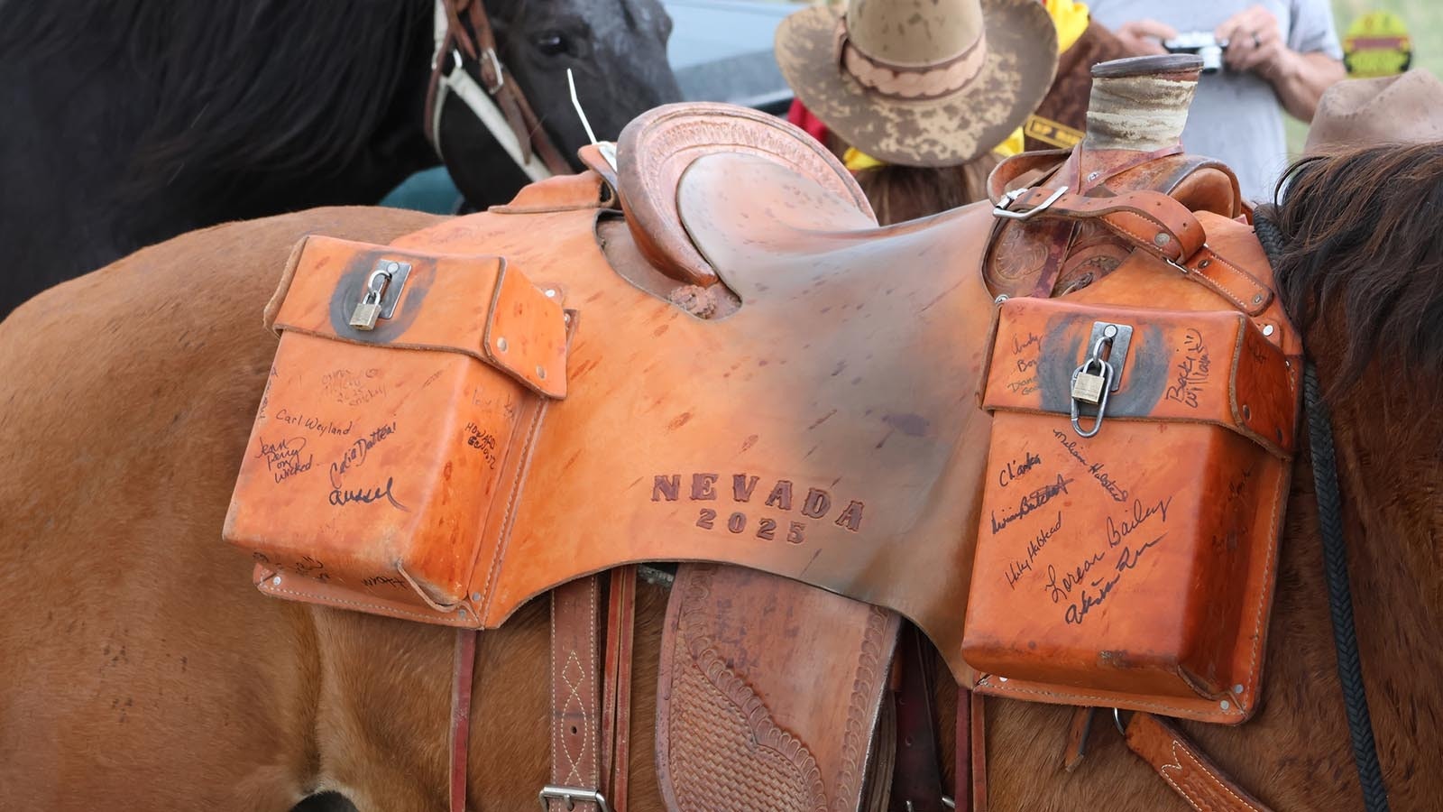 The mochila carrying the mail from Sacramento, California, to Saint Joseph, Missouri contains 1,200 letters this year.