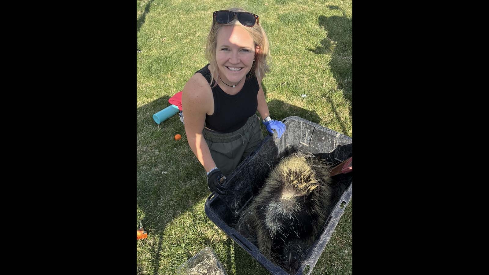 Over the course of about four hours, Brooke Foth estimates that she plucked more than 1,000 quills from a dead porcupine, which is more than enough to keep her busy for the next year.