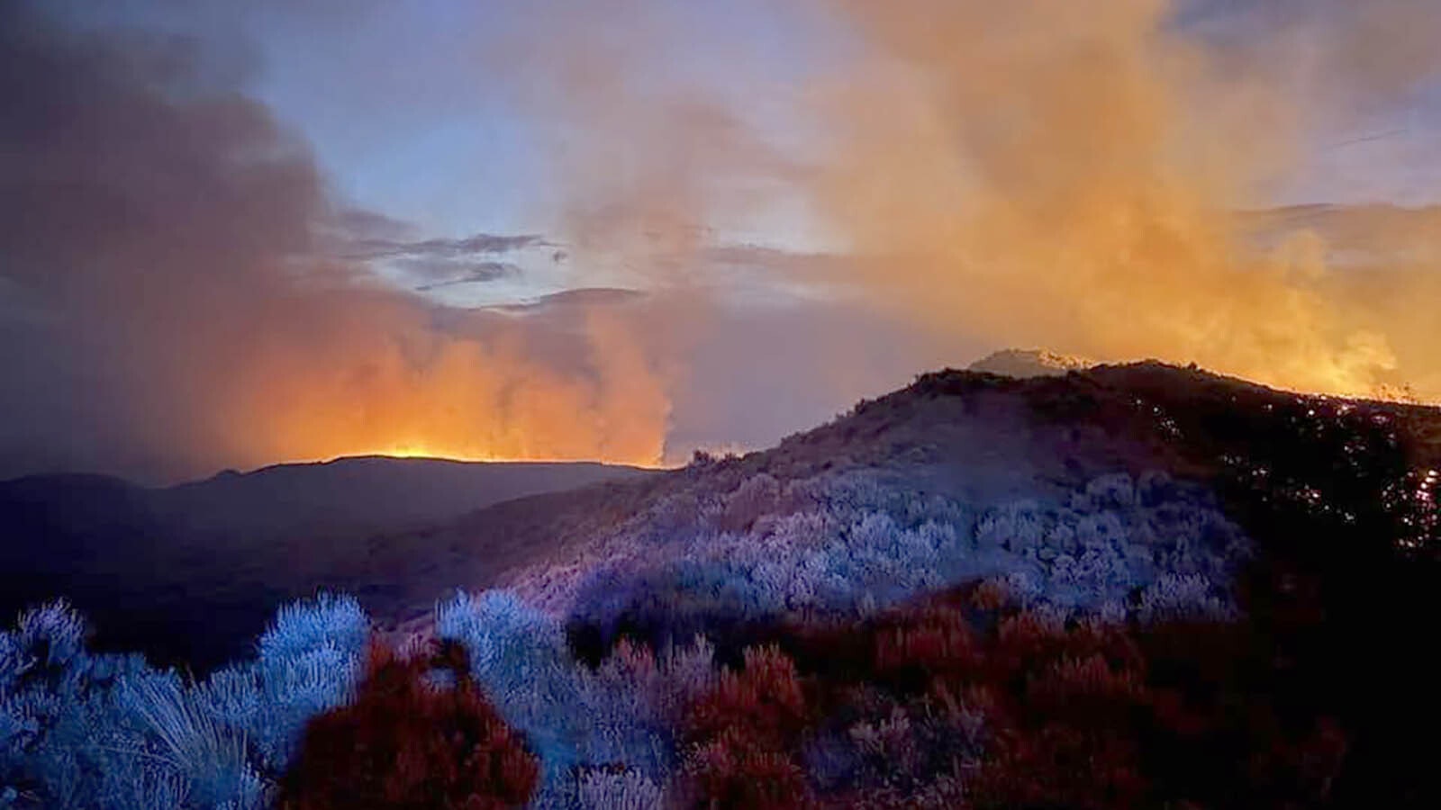 Local departments and the Bureau of Land Management responded in force to the Powder River Fire near Arvada.