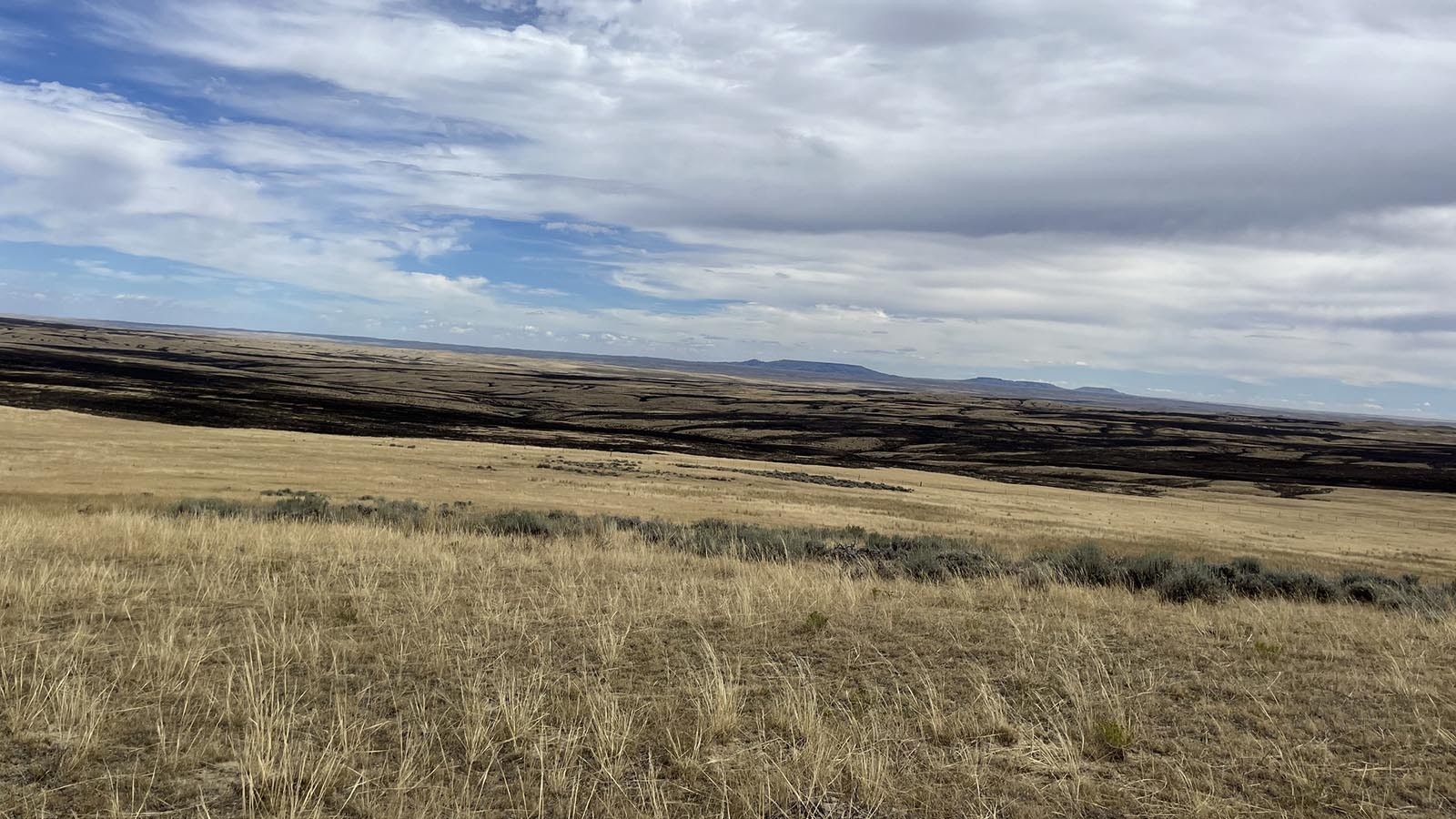 Huge Wyoming wildfires have devastated large areas of forage for wildlife and lifestock.