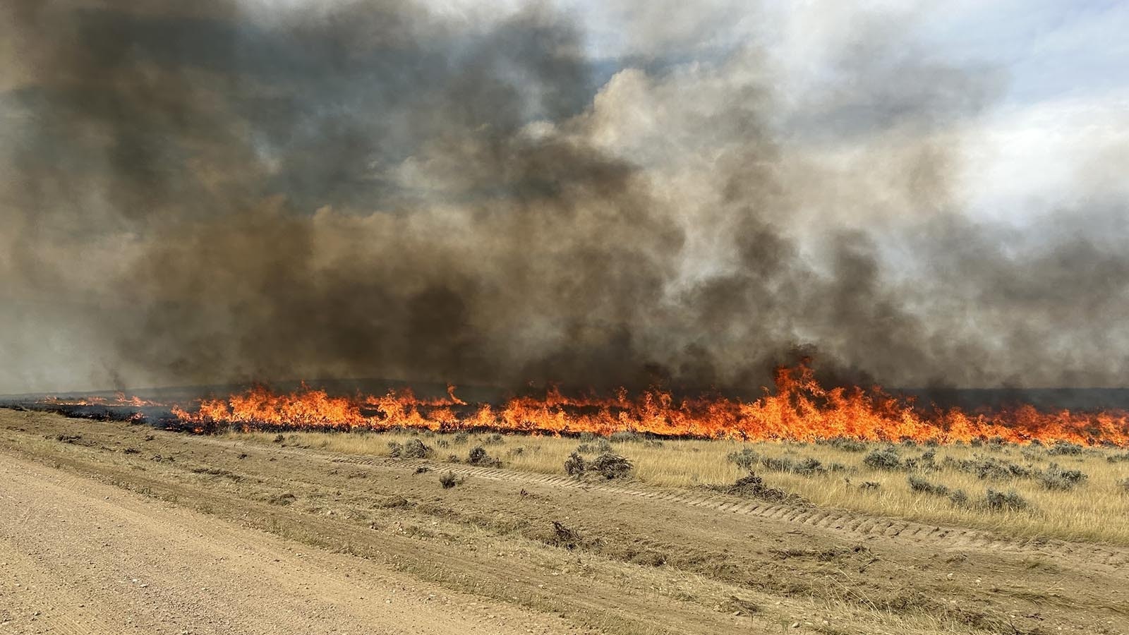 Huge Wyoming wildfires have devastated large areas of forage for wildlife and lifestock.