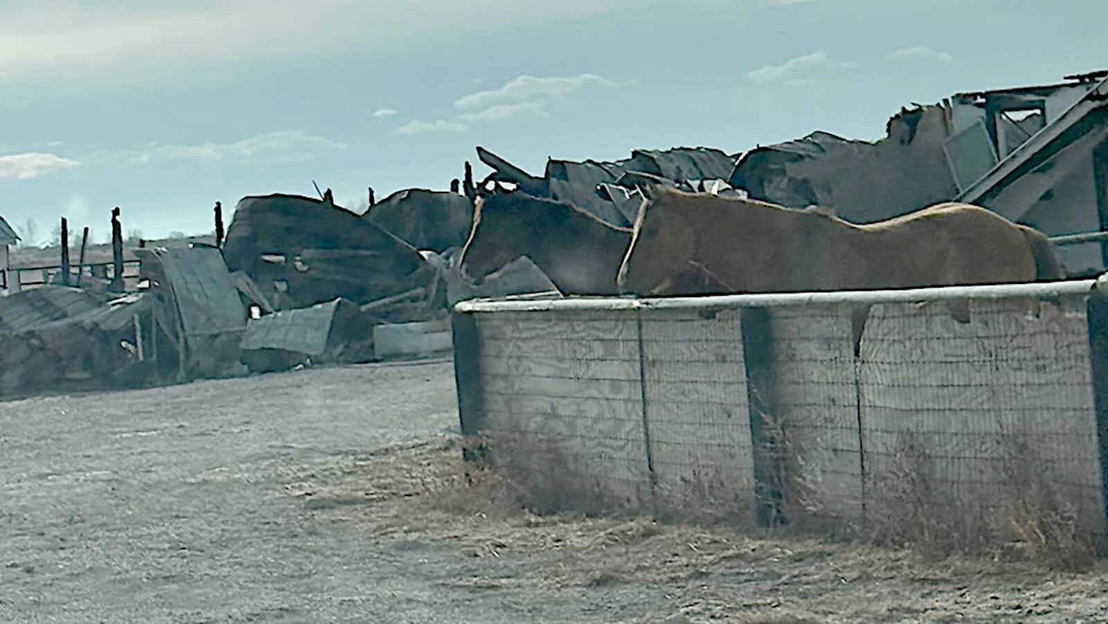 The scene at Barbie Rae Steinheimer’s property following her fire.