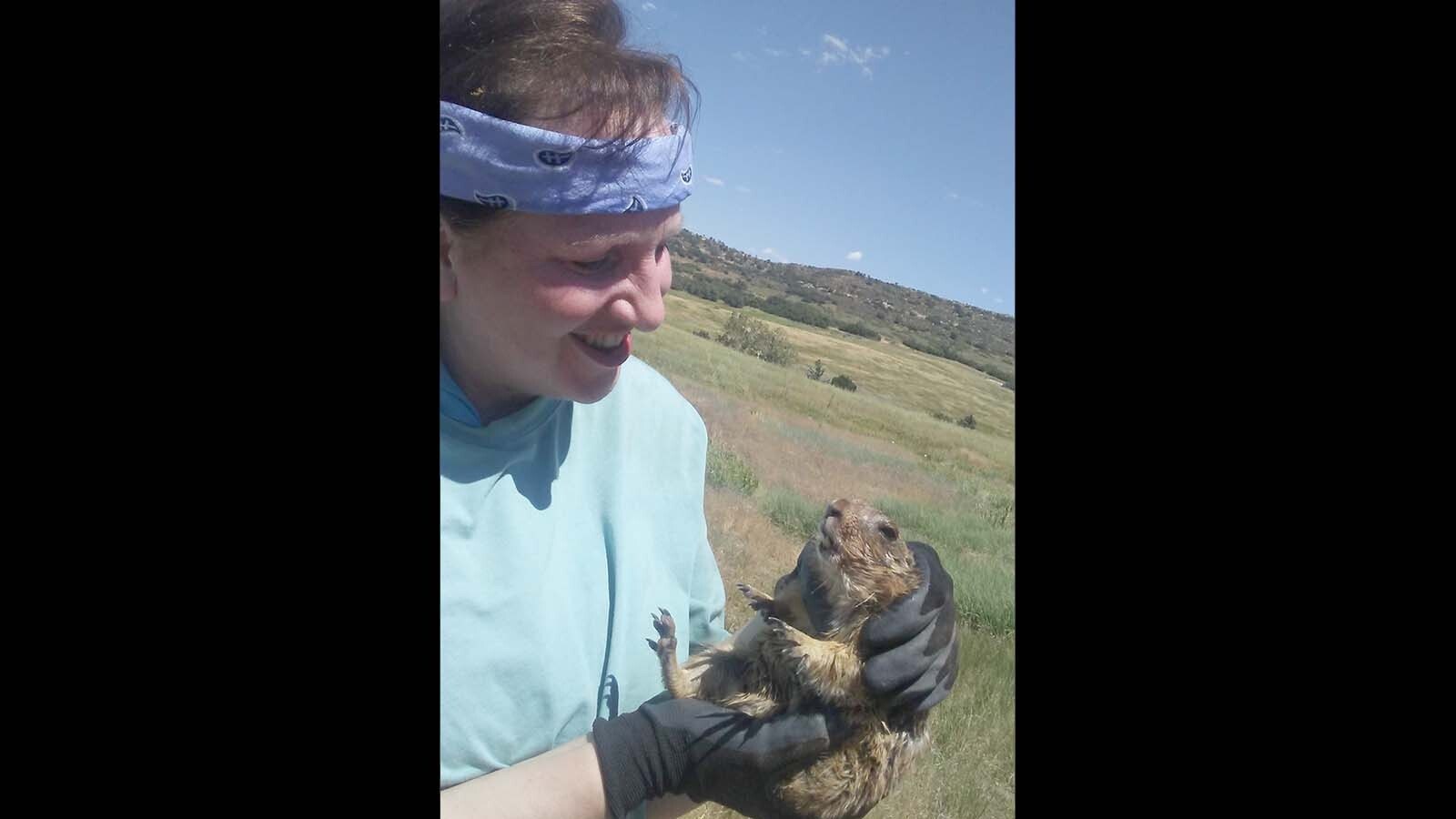 Prairie dog advocate Deb Jones says that a lack of the burrowing rodents in Boulder County, Colorado has driven coyotes there to start eating people’s pets.
