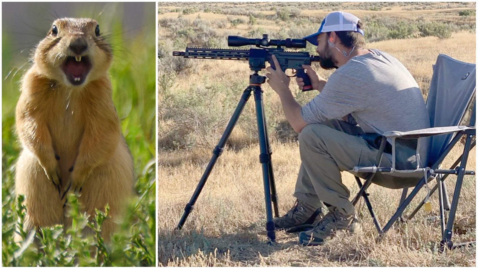 Prairie dog shooter composite 2 1 23