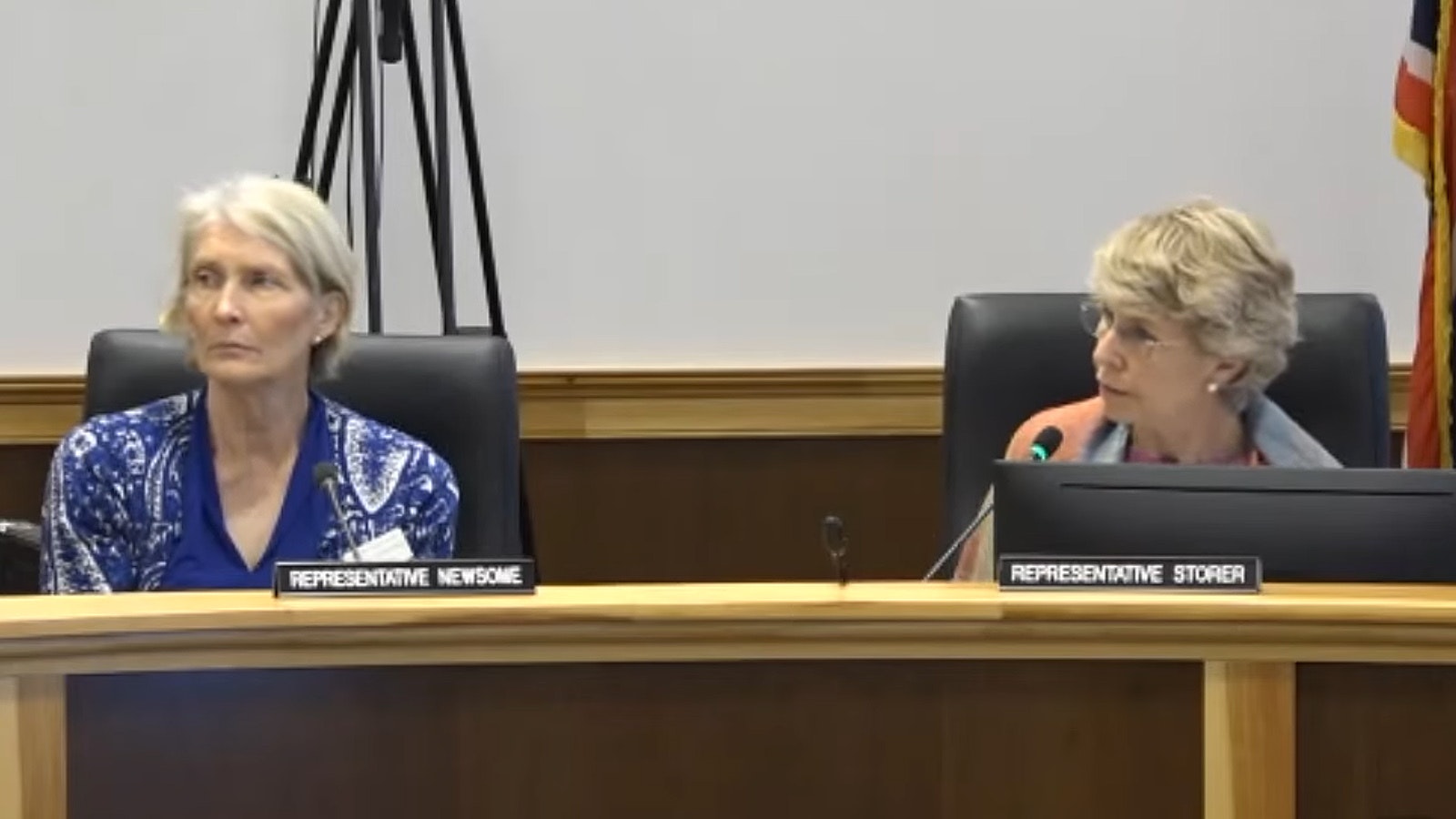 The 2024 Joint Treatment of Predators Working Group chairperson Rep. Liz Storer, right, and Rep. Sandy Newsome during discussion of the group's June 25, 2024, meeting about how to respond to the capture and mistreatment of a wild wolf.