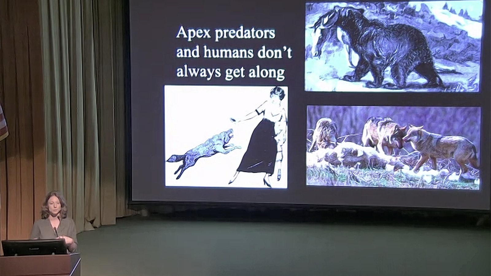 Kristin Barker presents about Yellowstone wolves Thursday in Cody.