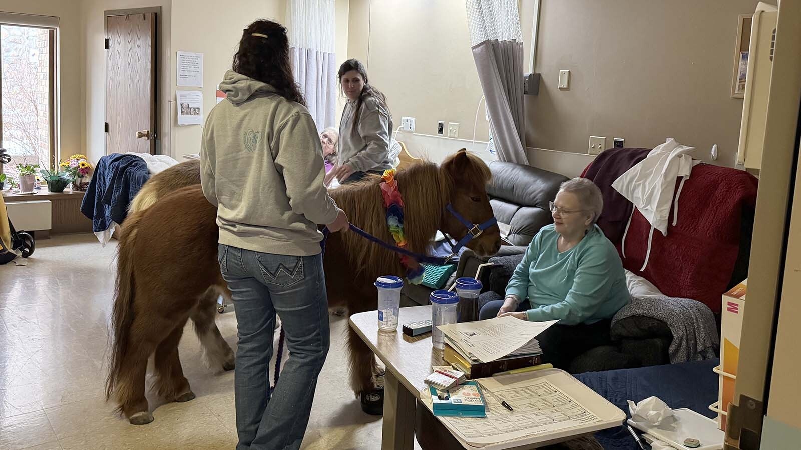 Norman the pony during one of Wyo Hoofbeats' monthly visits to Cody Regional Health's Long Term Care Facility.