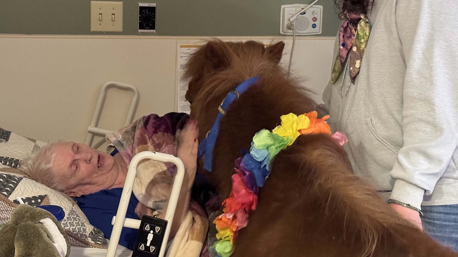 Jody Goldbach, a co-founder of Wyo Hoofbeats, chats with a resident while she greets Norman the pony. Goldbach and the other volunteers with Wyo Hoofbeats are certified to facilitate the most therapeutic interactions between people and ponies.