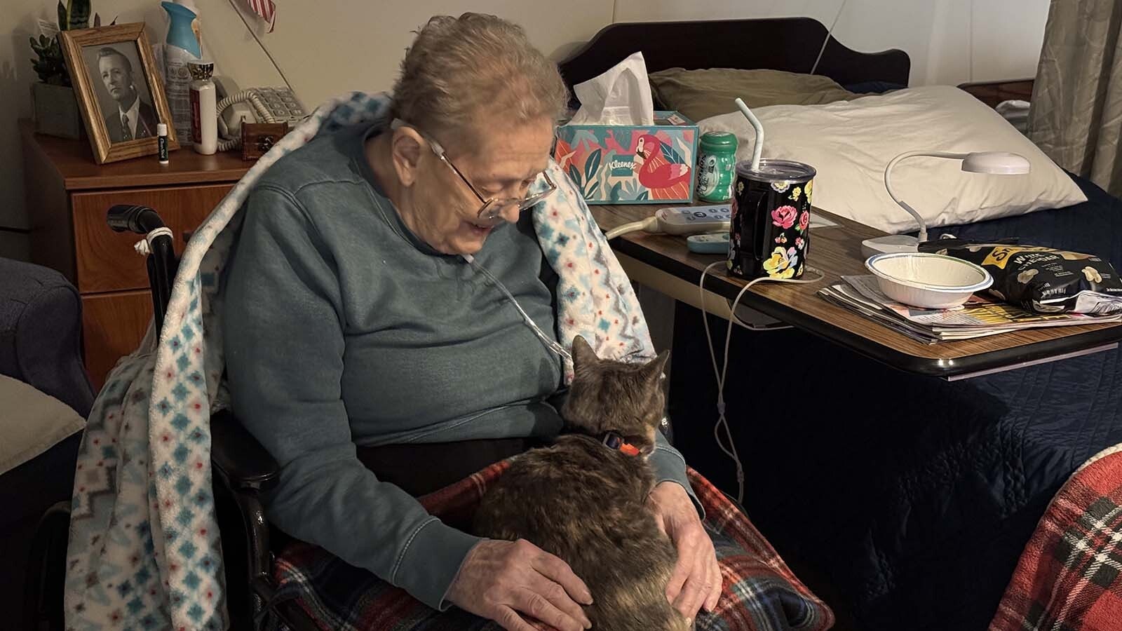 Snow the cat finds a comfortable spot at Cody Regional Health's Long Term Care Facility.