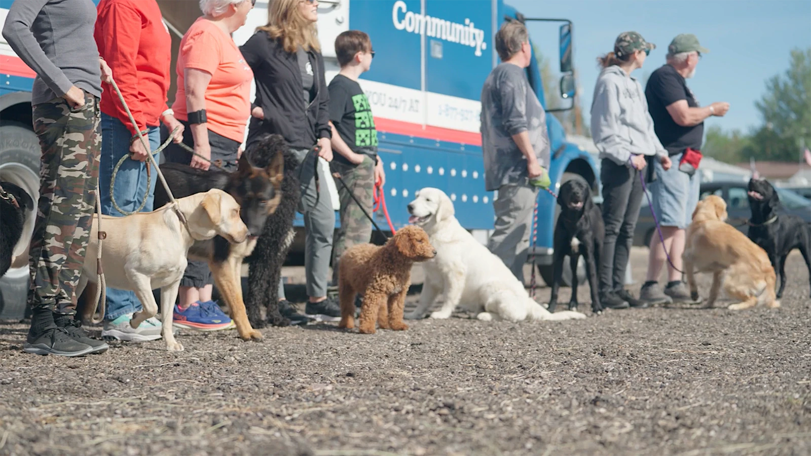Veterans and others gather to trains dogs as part of Project Kenny.