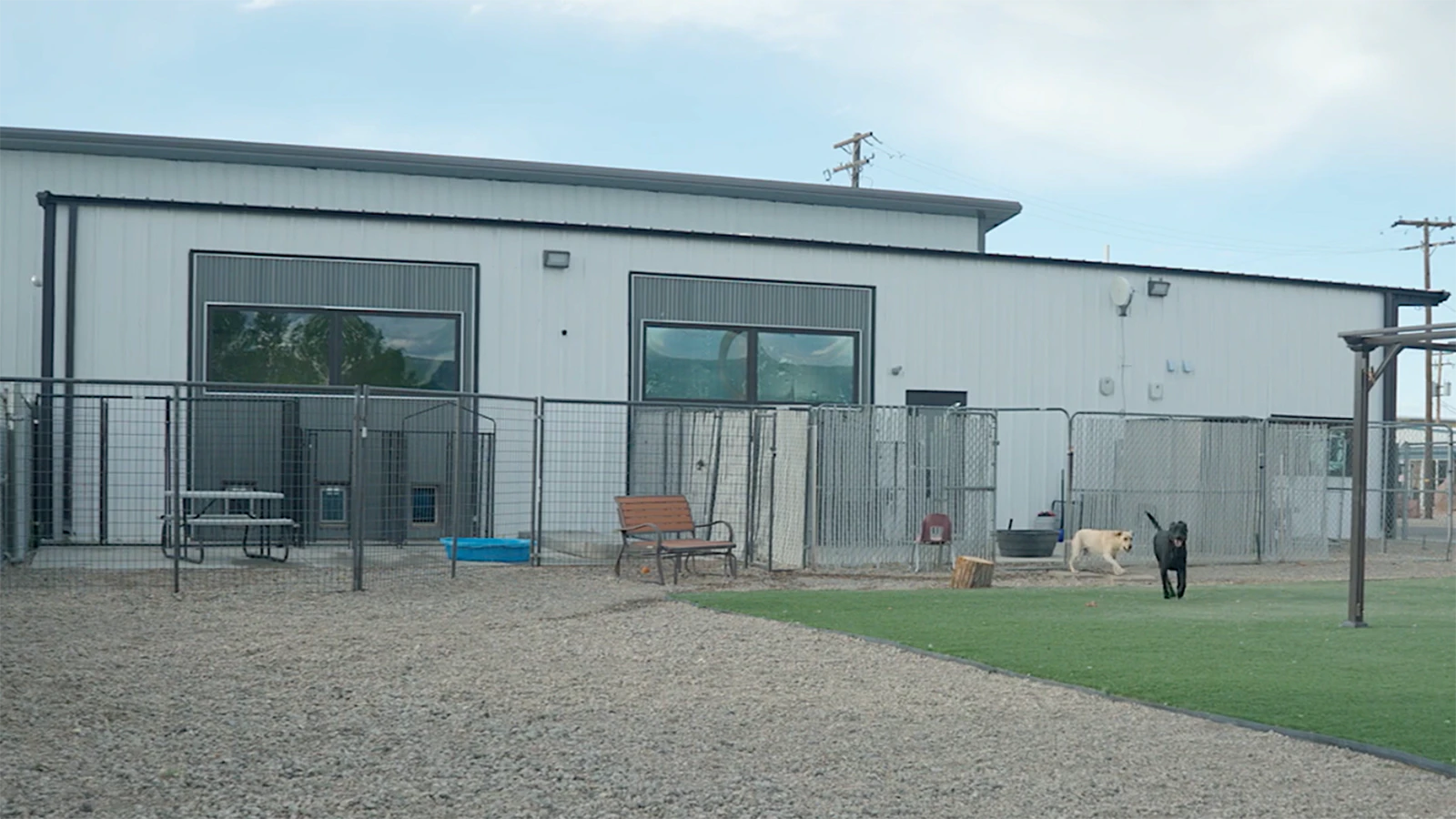 Veterans gather every Saturday to  train their dogs to be service animals.
