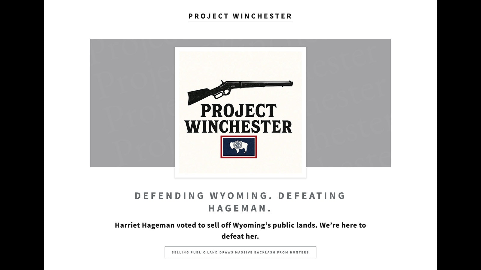 Project Winchester 8 1 25
