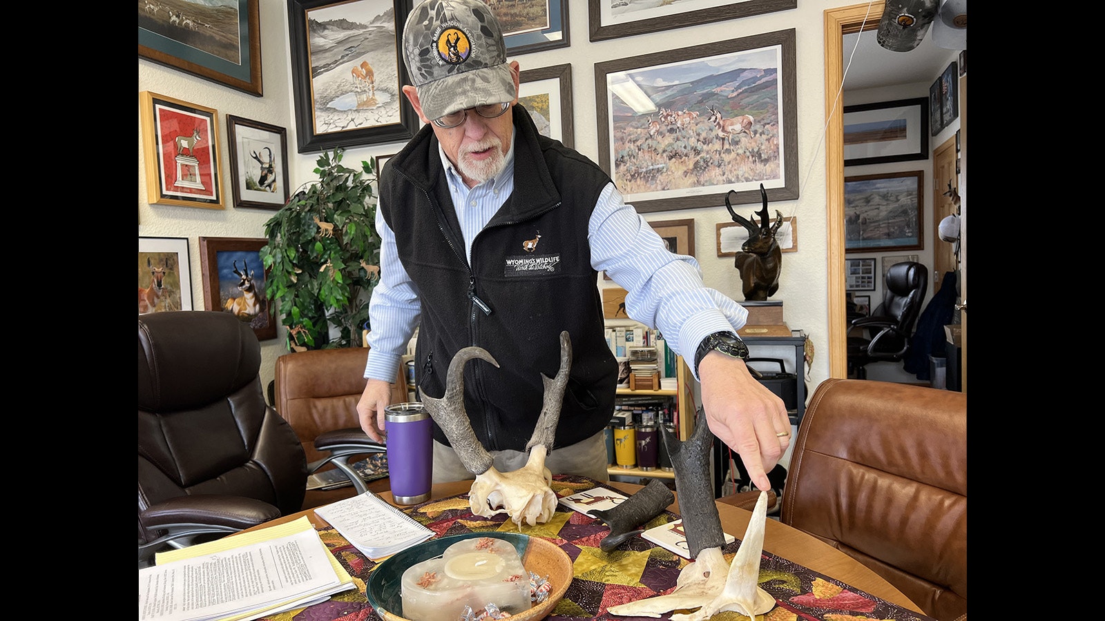 Wildlife Biologist Rich Guenzel explains that antelope have permanent horns, and shed the outer sheath each year.