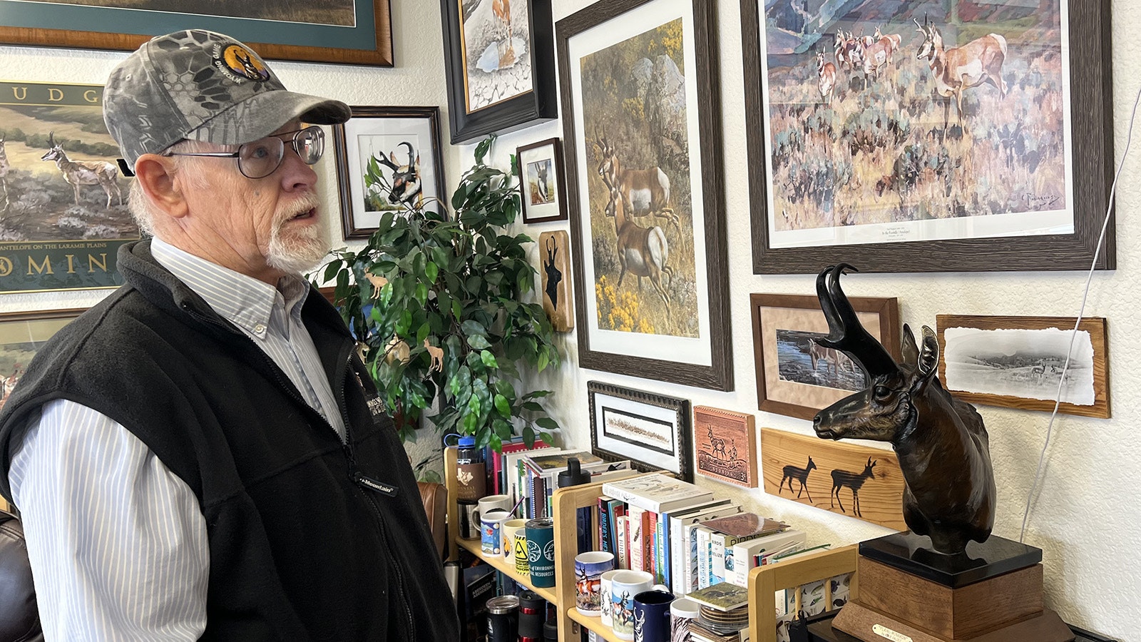 The office of wildlife biologist Rich Guenzel in Laramie has depictions of pronghorn created by artists from all over Wyoming and the West.