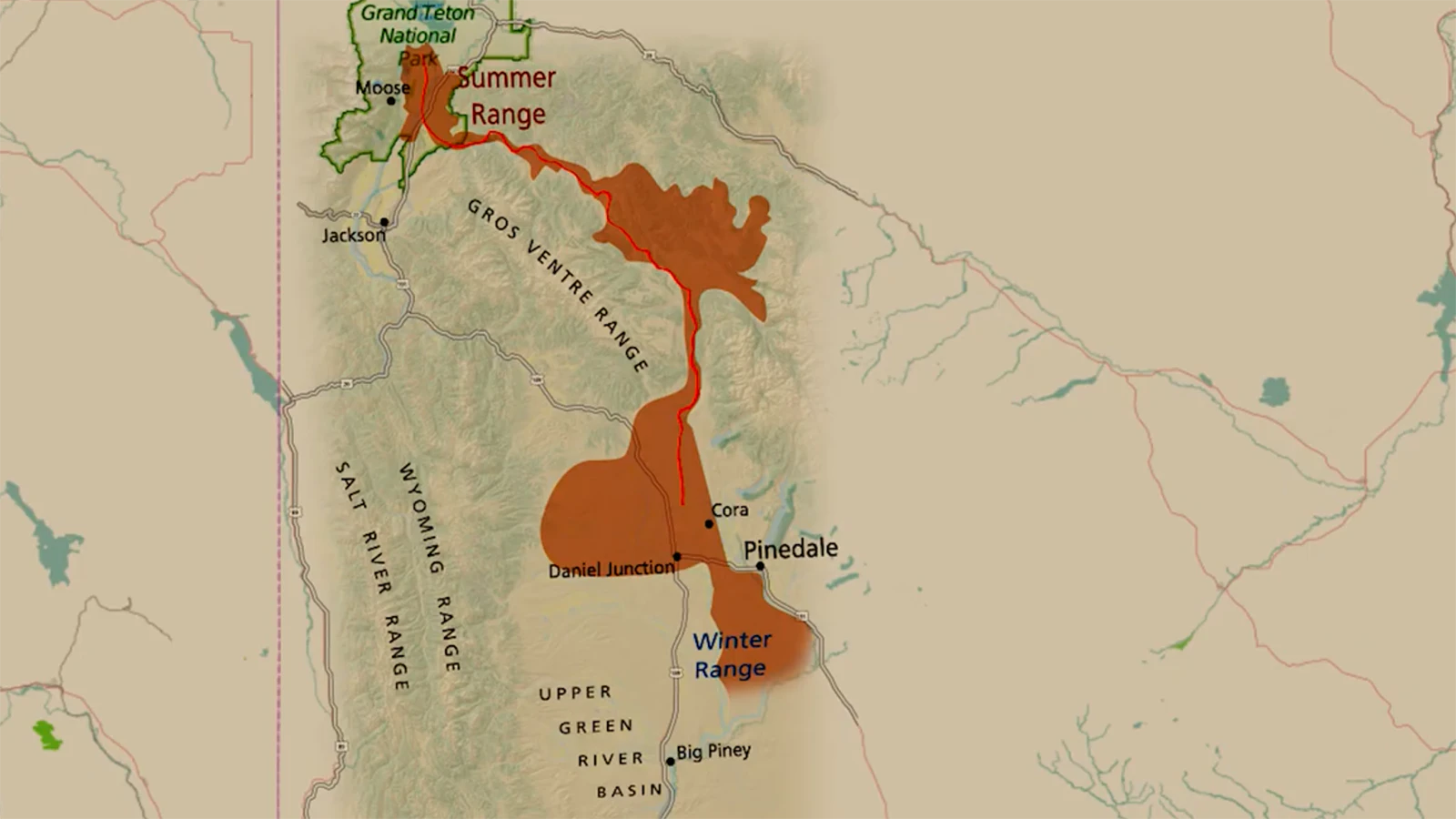 Gov. Mark Gordon has designated Wyoming’s famous “Path of the Pronghorn”, one of the longest land migration routes in North America, as protected. While conservationists hailed the move, an energy landman said he hopes it doesn’t impede drilling.