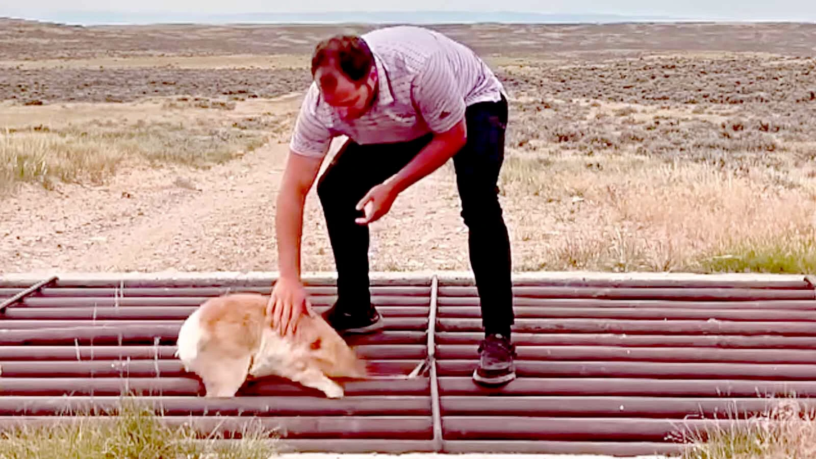 Casper Realtor and sportsman Dylan Heide got some good karma by saving a baby pronghorn stuck in a cattle guard near Casper.