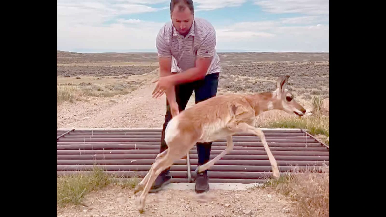Casper Realtor and sportsman Dylan Heide got some good karma by saving a baby pronghorn stuck in a cattle guard near Casper.