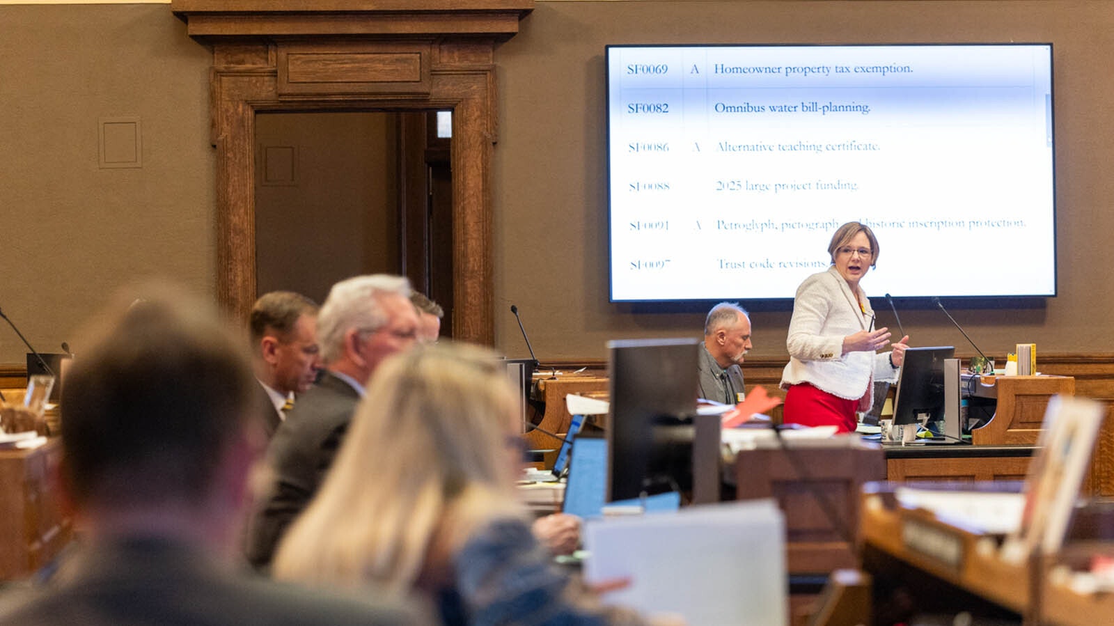 State Sen. Evie Brennan, R-Cheyenne, discusses a property tax relief bill on the Senate floor Friday.