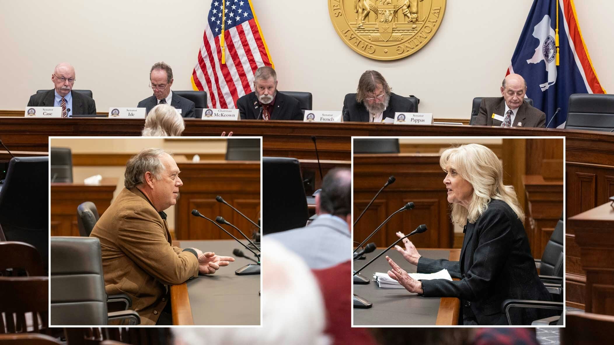 The Senate Revenue Committee heard testimony Feb. 21, 2025, about a proposal to overhaul Wyoming property tax system based on a home's purchase price. Former state legislator Mark Jennings, left, argued in favor of the bill. Wyoming Department of Revenue Director Brenda Henson, right, pleaded with the committee to vote against it.