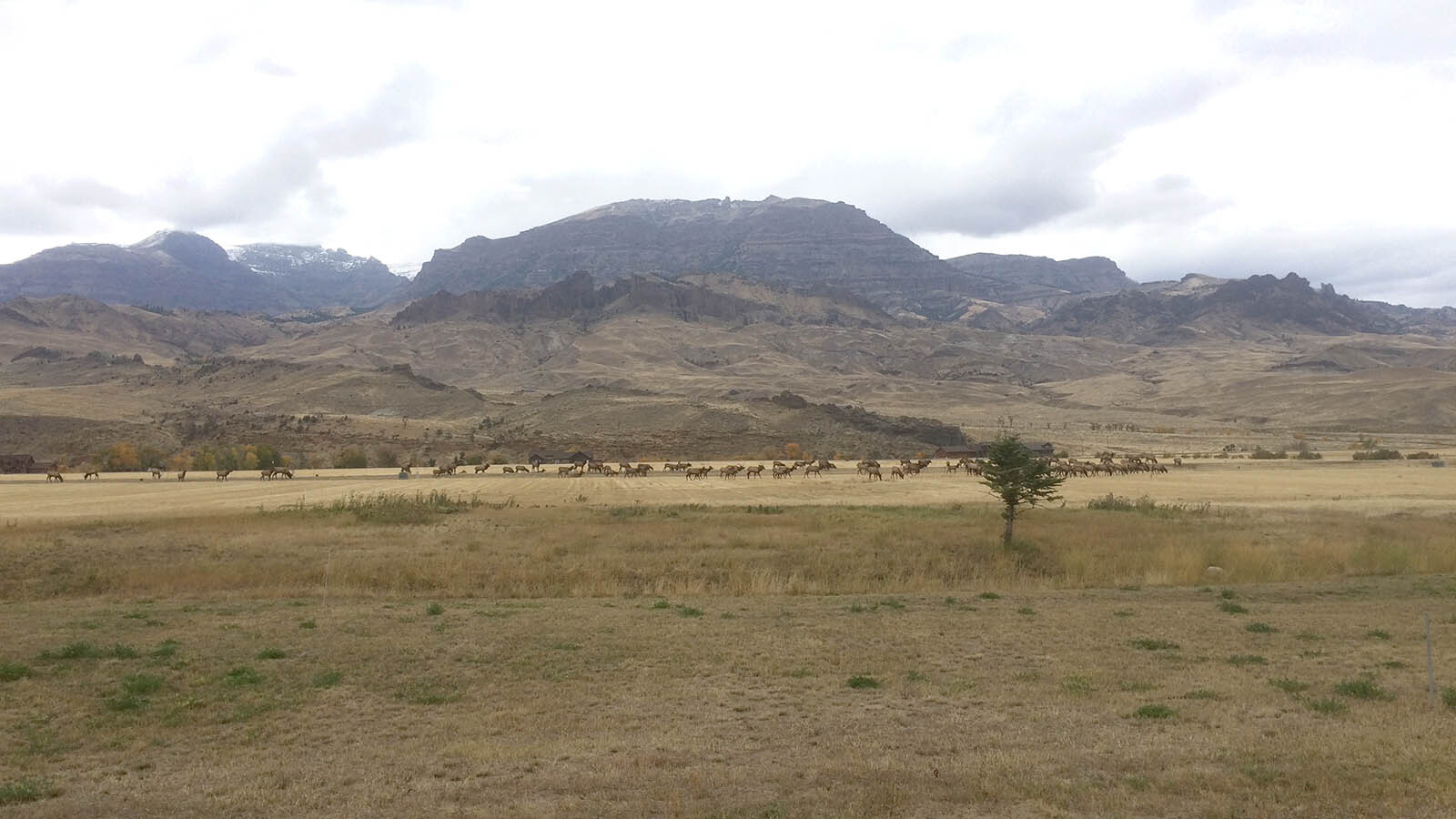 Wyoming Sens. John Barrasso and Cynthia Lummis told Cowboy State Daily on Thursday they support a Trump administration plan to sell federal land to help ease an affordable housing crunch.