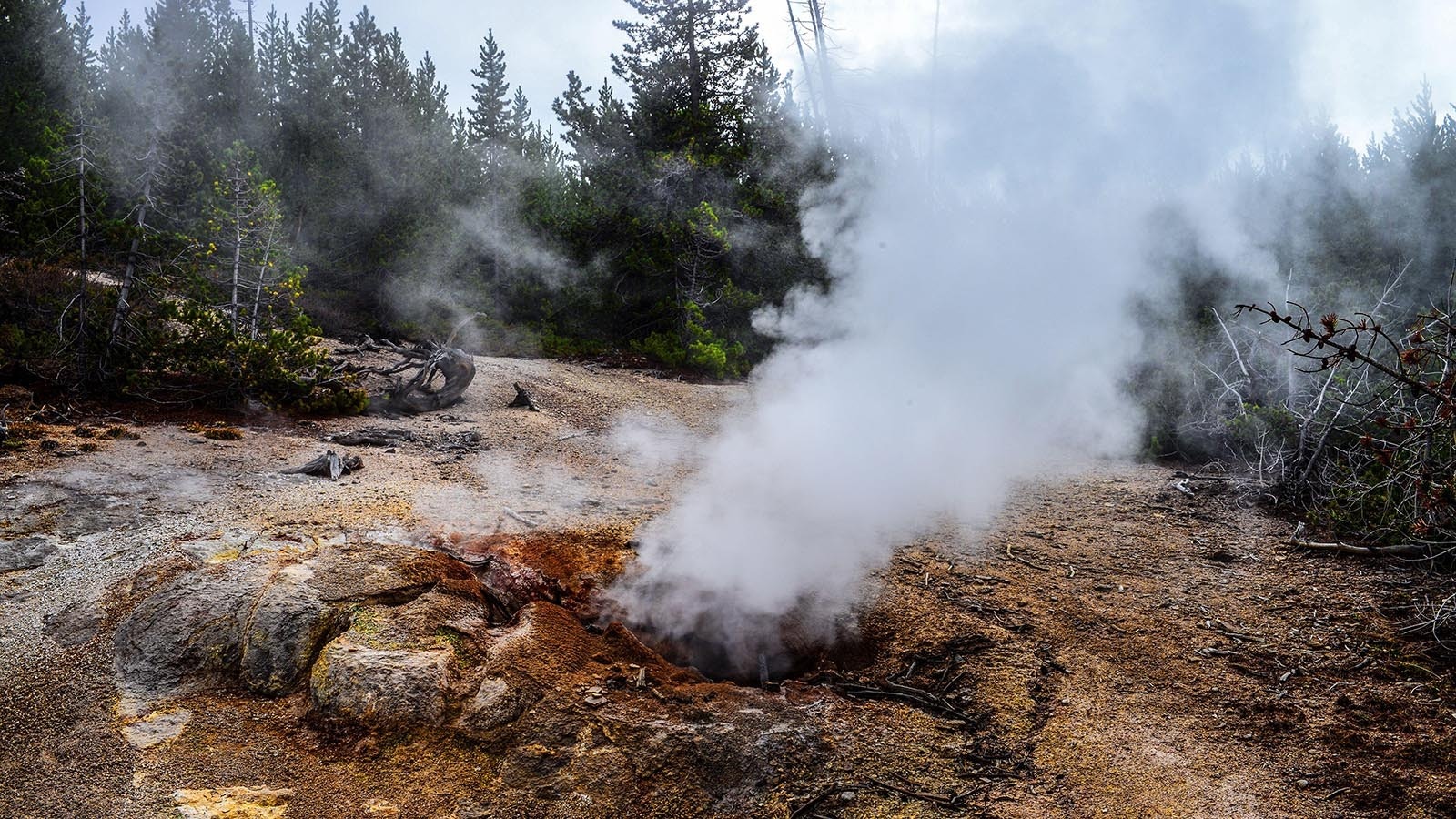 Puff ’n Stuff Geyser is one of Yellowstone's most uniquely named features.