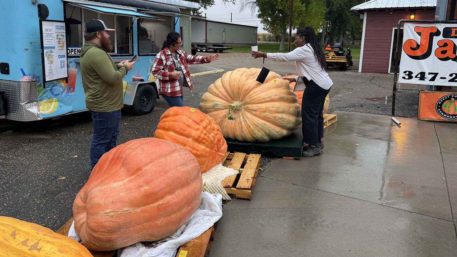 Pumpkins waiting to be weighed and dropped during the 2025 Wyoming Weigh-Off and Pumpkin Drop in Worland.
