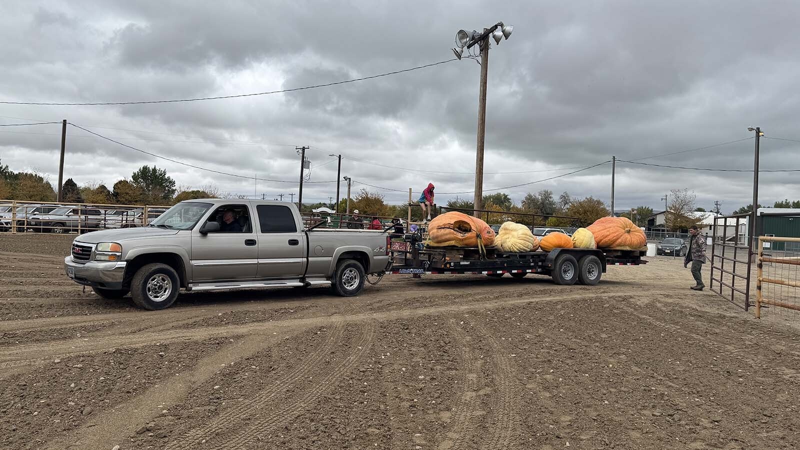 The "harvest hearse" arriving at the Washakie County Fairgrounds for the 2025 Pumpkin Drop. These were the highest and heaviest pumpkins ever dropped in Wyoming, raised to a height of 200 feet by Worland's Swing Trucking.