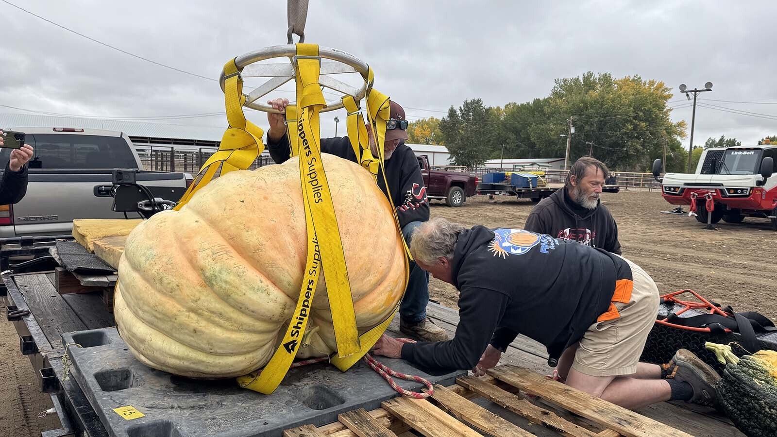 Giant pumpkins are loaded into a harness to be dropped from 200 feet in the air.