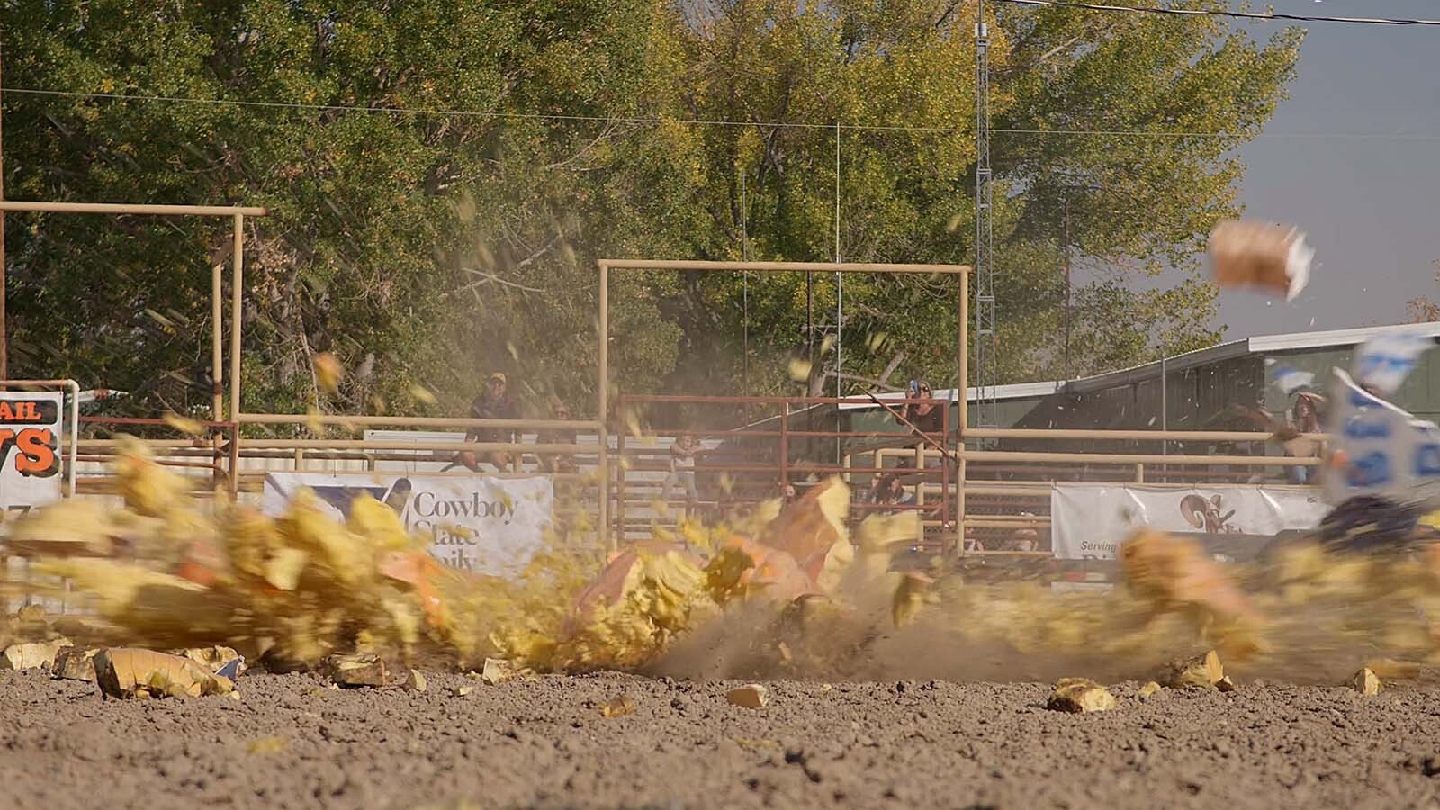 A nearly 1,300-pound pumpkin explodes after being droped from 175 feet high onto a cutout of Wile E. Coyote at the 2014 Wyoming Pumpking Weigh-Off and Pumpkin Drop.