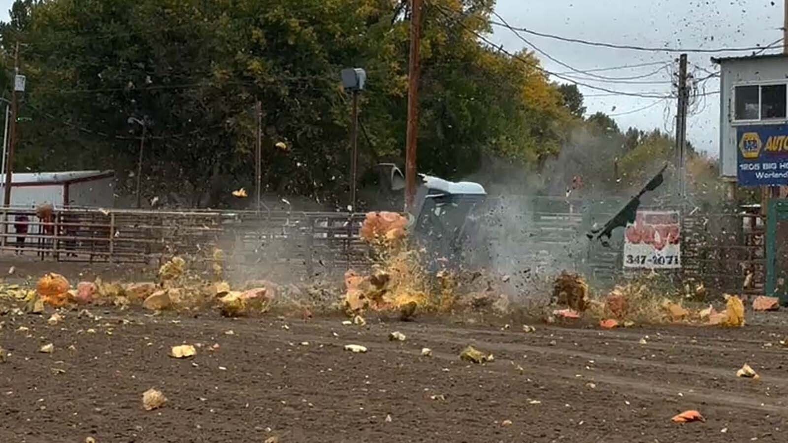 At 1,788 pounds, Lovell grower Chad Kurtenbach’s became the largest pumpkin ever dropped in Wyoming at Saturday’s annual State Championship Weigh-Off and Pumpkin Drop. It was dropped from 200 feet and smashed the crap out of a porta-potty.