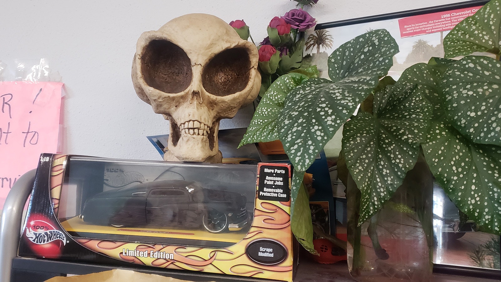 A friend gave Desiree Ross the car below this skull, which represents her dream car, and urged her to put it where she can see it every day so that her dream would come true.