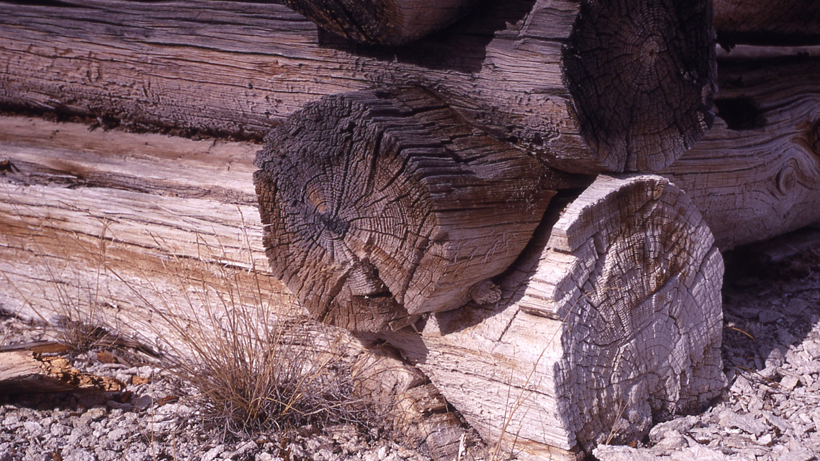 Construction of the Queen's Laundry Bath House started in 1881, but it was never finished. Nevertheless, it's still standing as the oldest building in Yellowstone National Park, and the first structure ever built for public use in a national park.