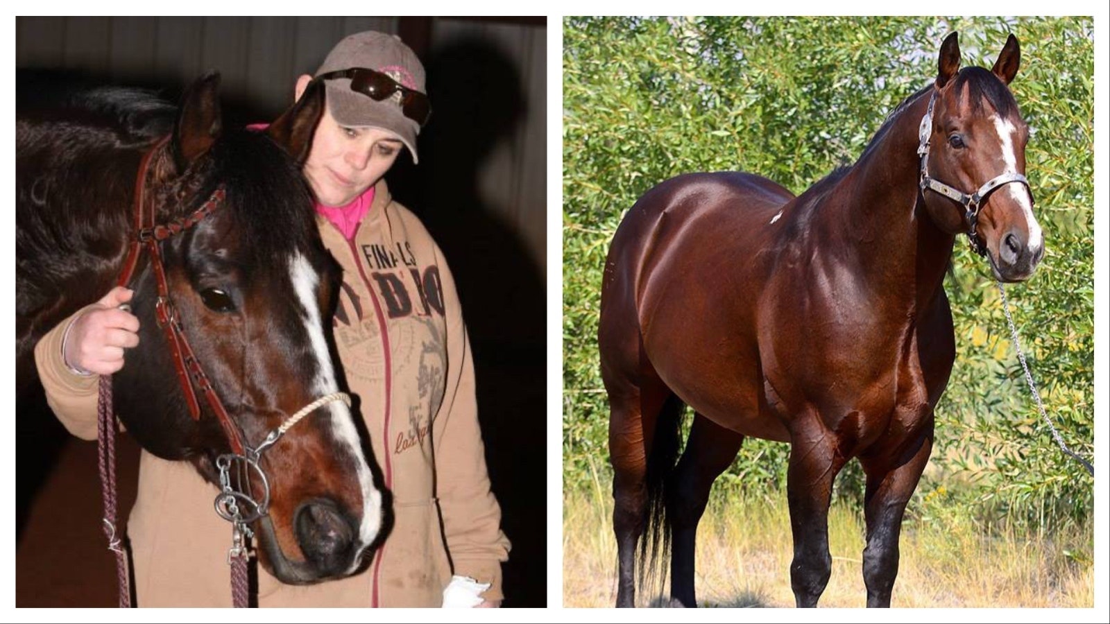 Dashing With Fame is a stallion who has done more than just win awards for barrel racing and producing champions. He has also inspired his former owner, Heather Hossack to create a line of quilting patterns as a tribute to the rodeo world. Her cowboy patterns are uniquely Wyoming, and she is planning more patterns for the future with Dashing With Fame as the star.