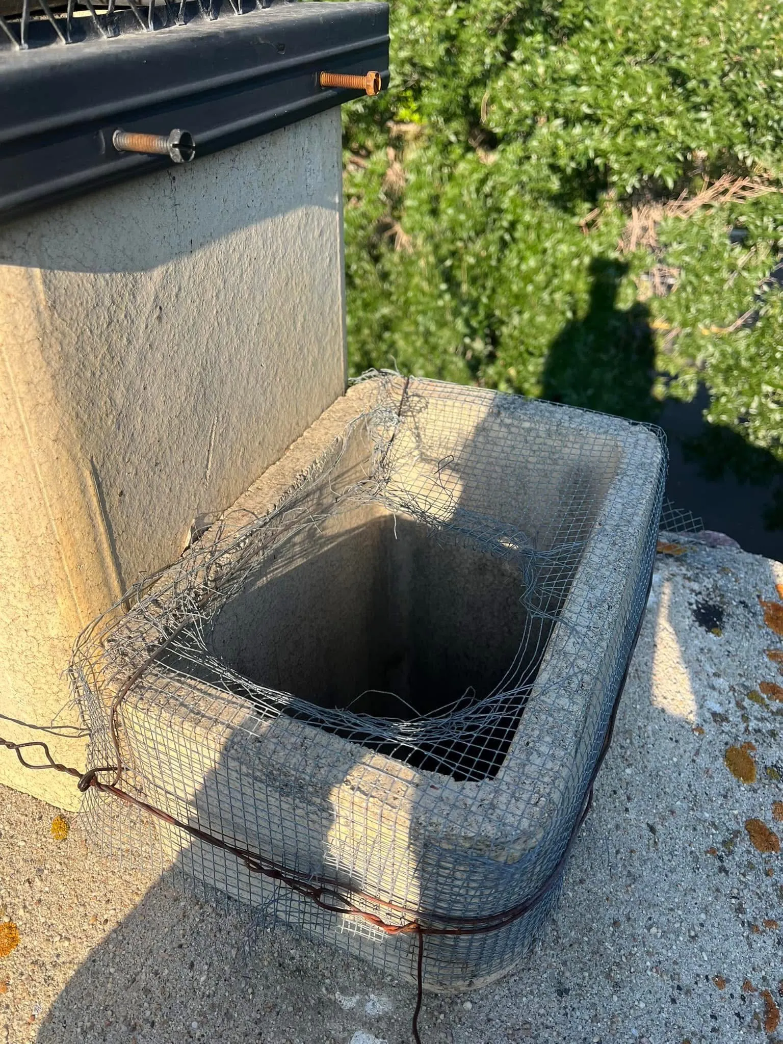 Casper Woman Turns To Metallica When Steel Mesh Didn't Keep Raccoon Out ...