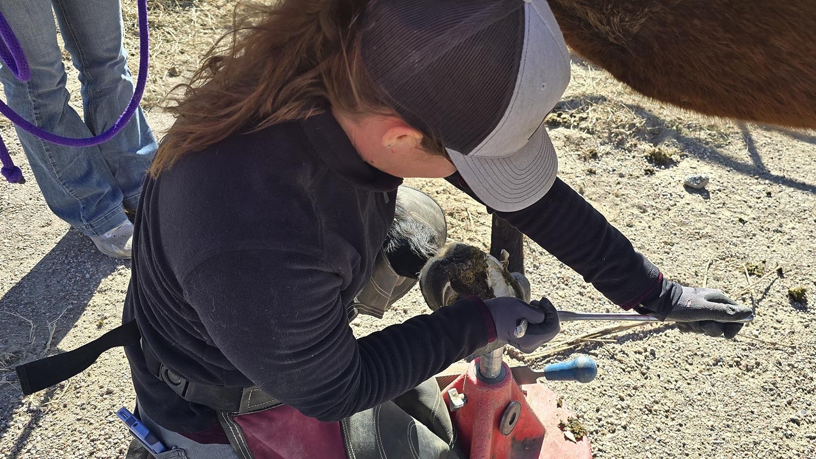 Meghan McGann works on a horse's hoof at Kate Anderson's ranch in Chugwater.