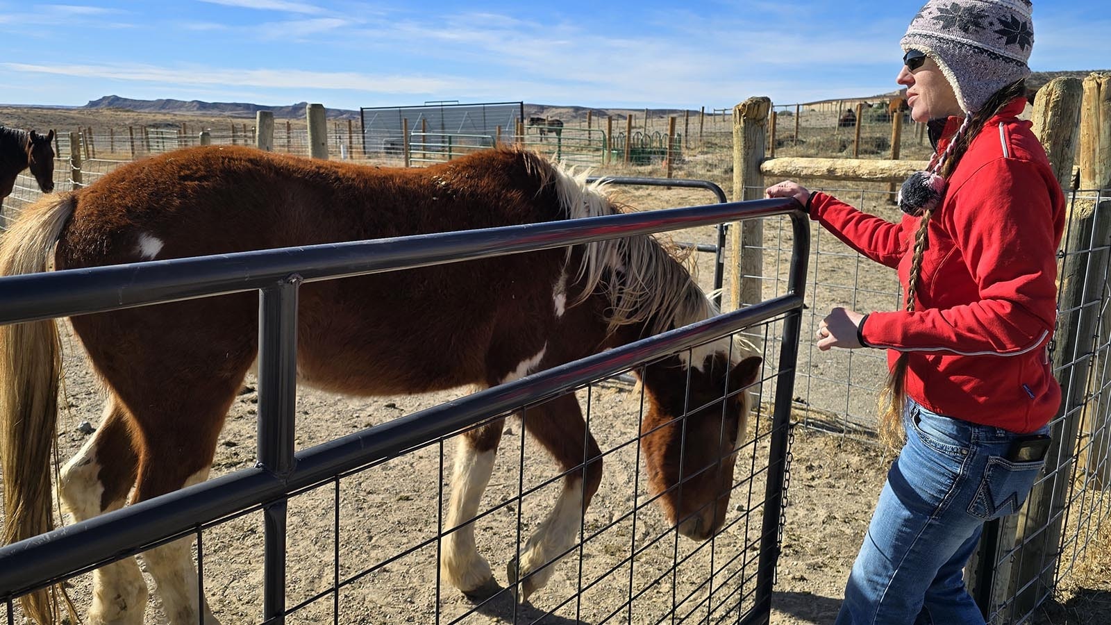 Kate Anderson shuts the gate behind her at her ranch in Chugwater.
