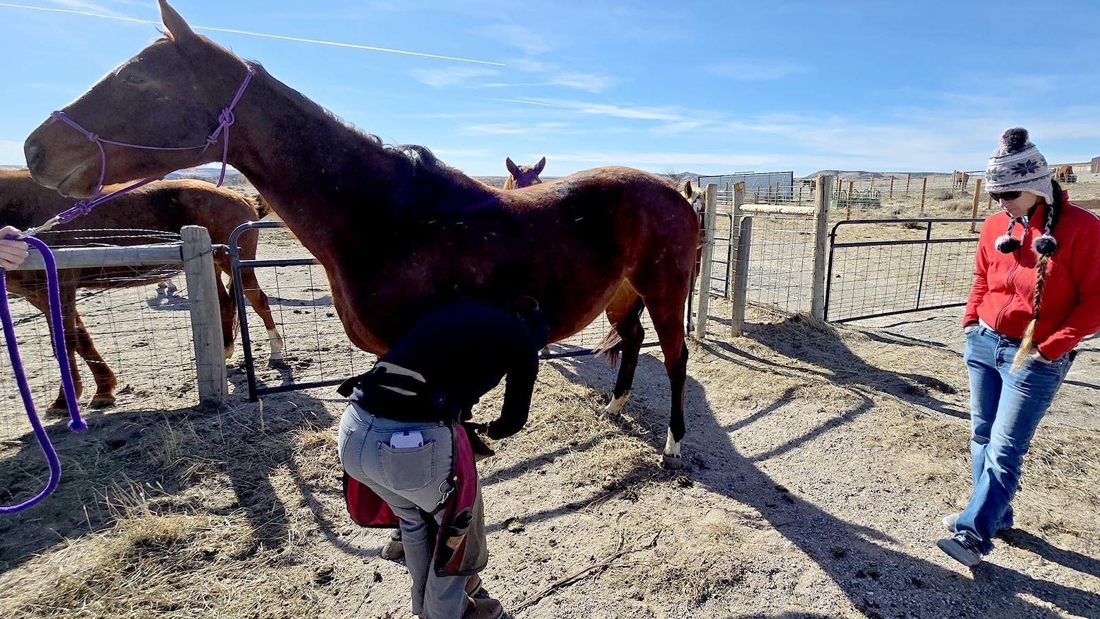 Kate Anderson, right, and farrier Meghan McGann discuss a racehorse whose hooves are being trimmed at Anderson's ranch in Chugwater.