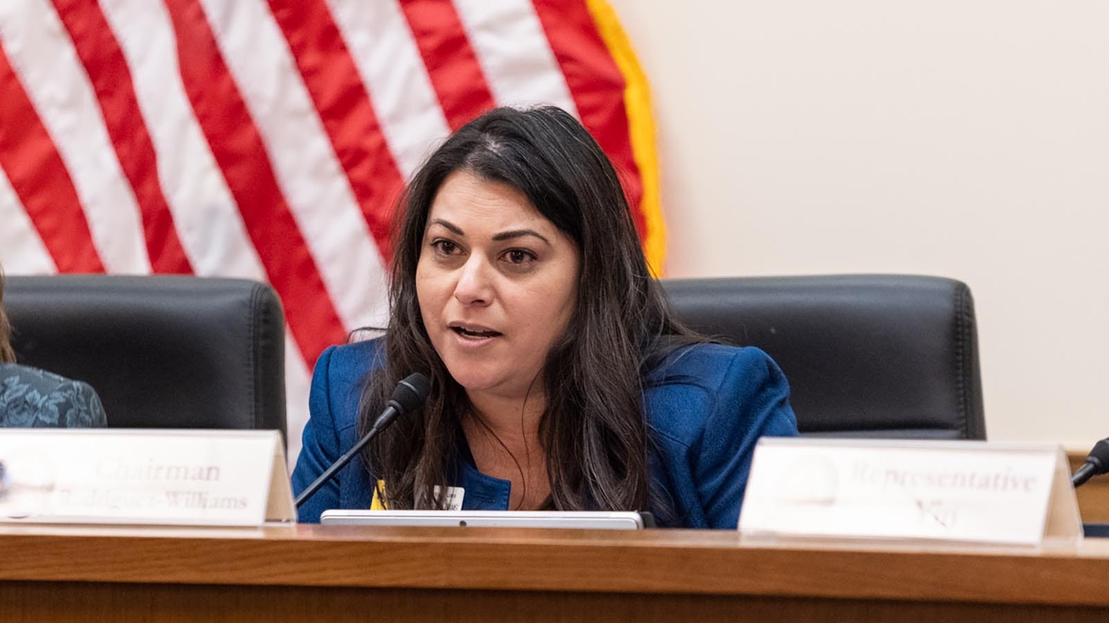 State Rep. Rachel Rodriguez-Williams sponsored a bill to keep government DEI out of public schools, which passed out of the House Education Committee on Jan. 15, 2025.