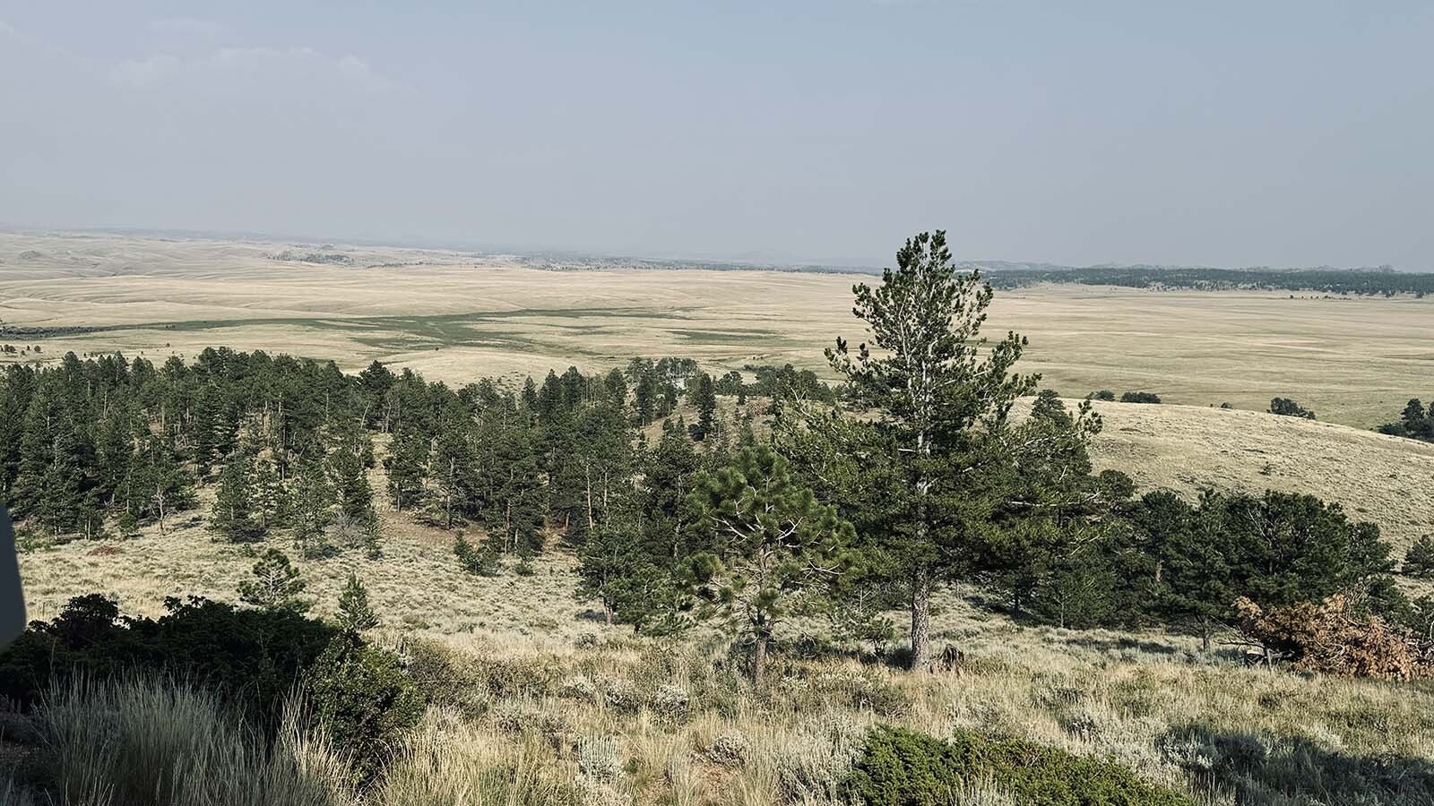 More than 100 wind turbines are planned for construction in the Laramie Plains in southeastern Albany County.