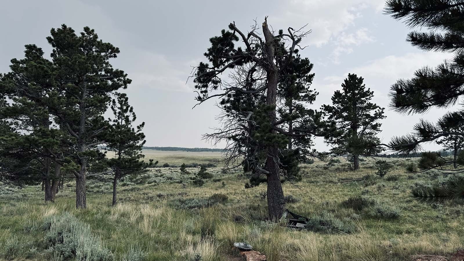 One of the many views from John Davis’ cabin south of U.S. 287 in Albany County of the Laramie Plains where a Spanish energy company wants to build a 500-megawatt wind farm on 26,000 acres.