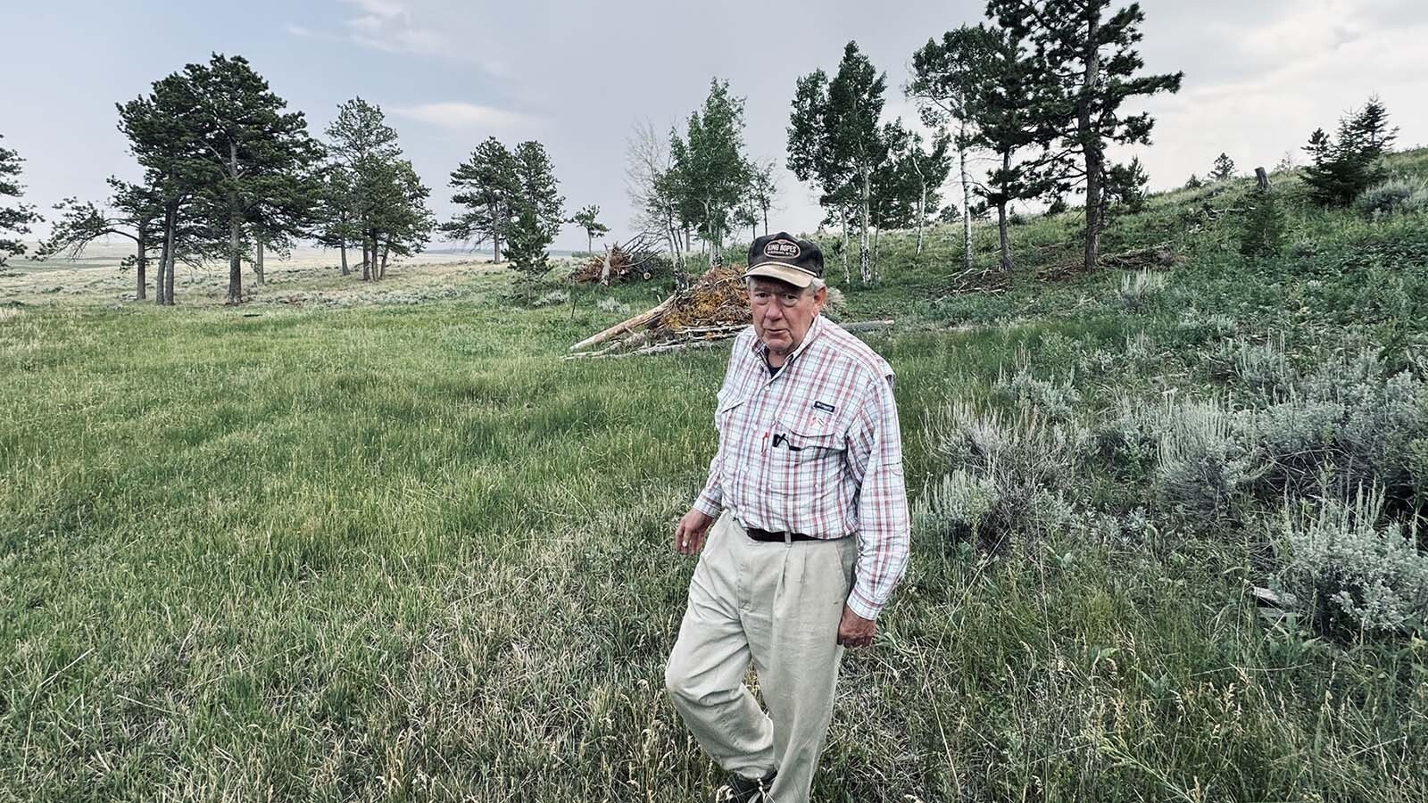 John Davis, a homeowner in the Fish Creek Ranch Preserve, walks along Ponderosa pines that line the hills to the east of the Laramie Plains where a Spanish energy company wants to build a 500-megawatt wind farm.