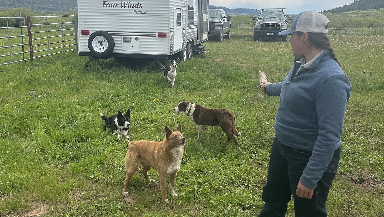 Brittany Heseltine with her ranch dogs Tory, Roe, Jenny and Gyp.