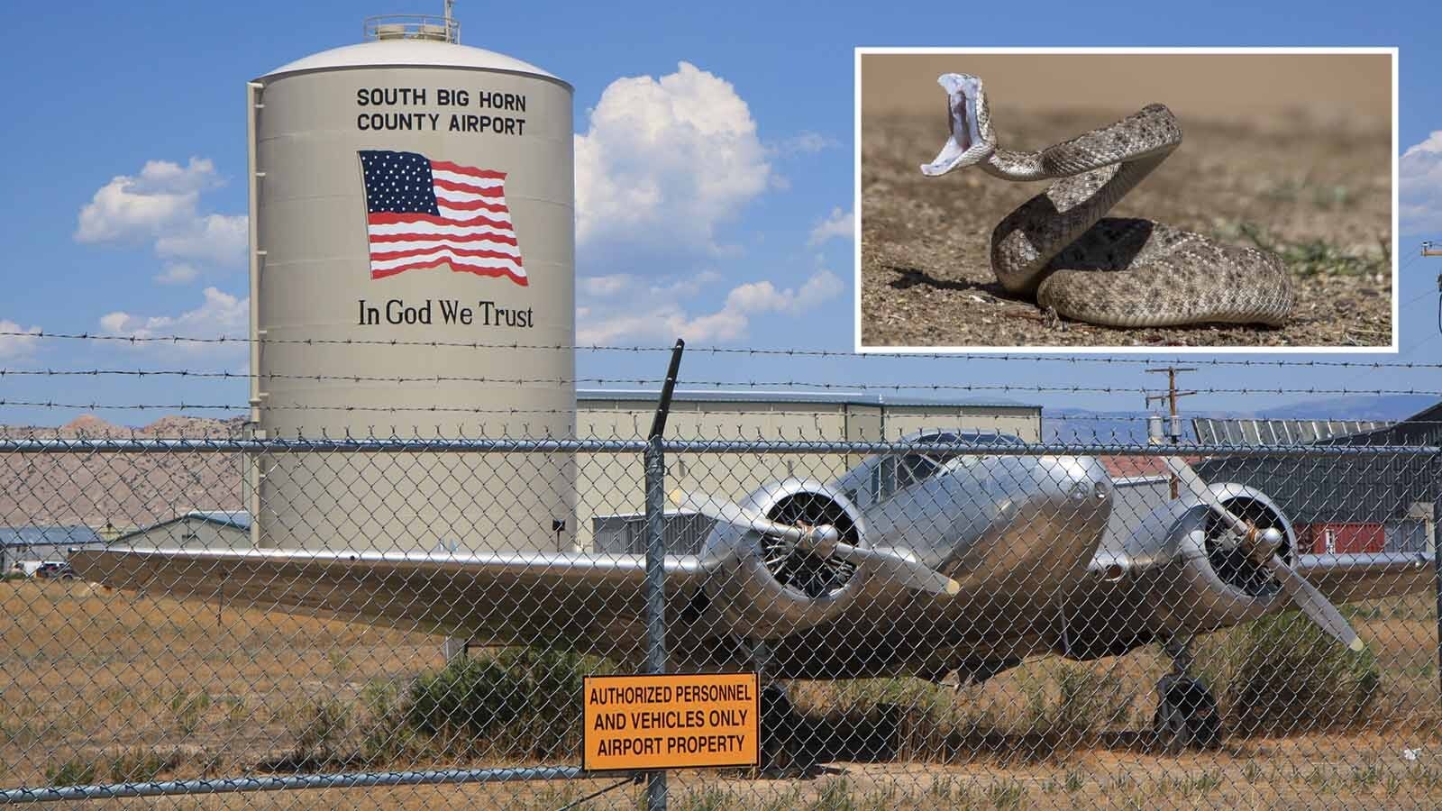 If Samuel L. Jackson is tired of all those mother-bleeping snakes on that mother-bleeping plane, he should steer clear of Wyoming. Rattlesnakes are so common at the Greybull airport, the staff is used to them, although they might freak visitors out.