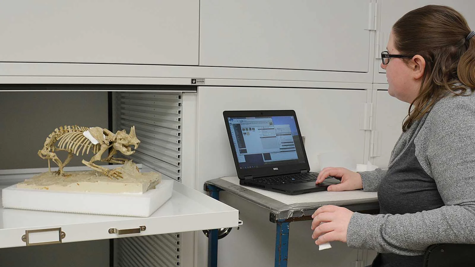 The jackalope is mythical, but Wyoming was home to an actual prehistoric rodent with two large horns on its head that roamed the Western U.S. It's one of the only horned burrowing mammals in Earth's history, and it thrived by fighting predators head-on. Here is a speciment with Amanda Millhouse, vertebrate paleontology collections manager at the Smithsonian’s National Museum of Natural History.