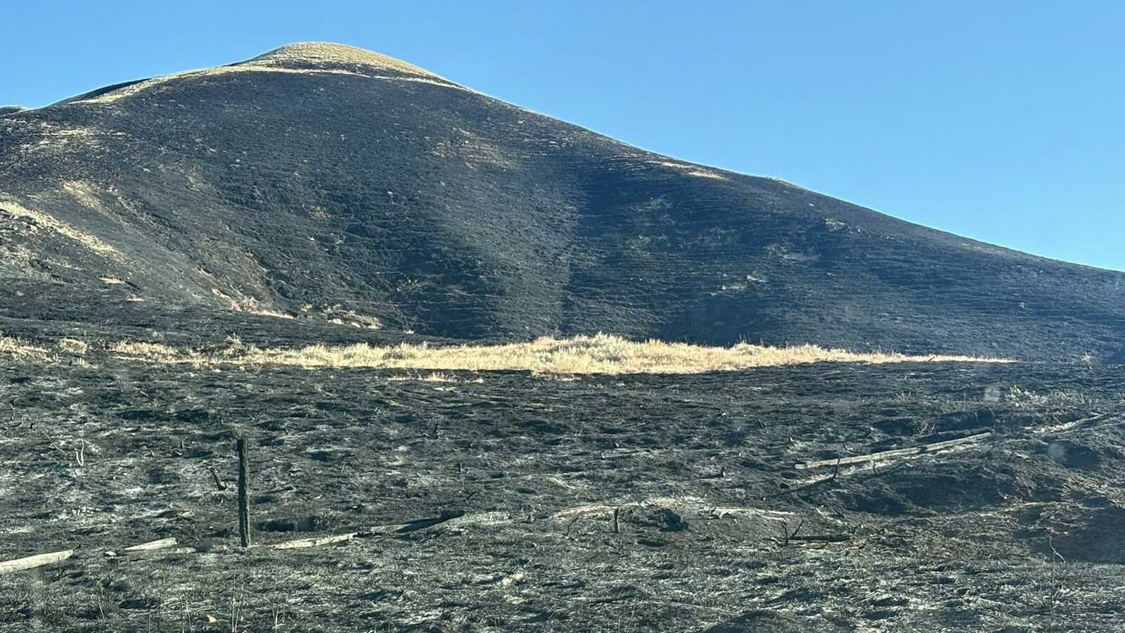 The rangeland in Lysite was destroyed by the flames of the Red Canyon Fire and generational ranchers like Matt Brown have been hit hard with their winter feed destroyed in less than a few days.