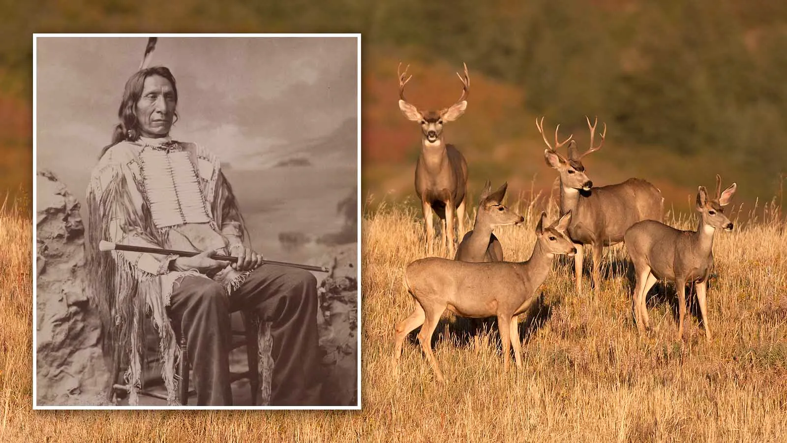 In 1894, Chief Red Cloud and a band of 50 Indians came through Natrona County on the way to the Wind River Indian Reservation and killed some wild game for food. He was arrested and spent time in a Casper jail while his wife mourned outside.